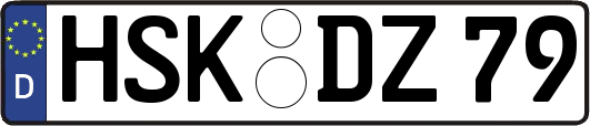HSK-DZ79