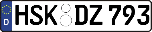 HSK-DZ793