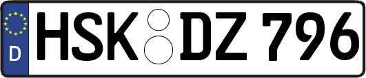 HSK-DZ796