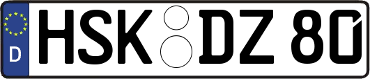 HSK-DZ80