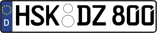 HSK-DZ800