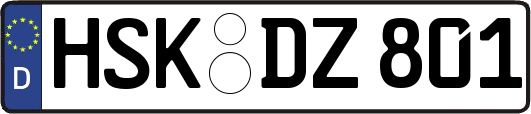 HSK-DZ801