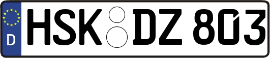 HSK-DZ803