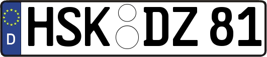 HSK-DZ81