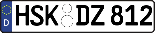 HSK-DZ812