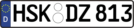 HSK-DZ813