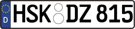 HSK-DZ815