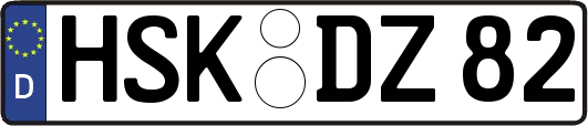 HSK-DZ82