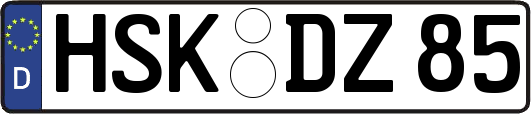 HSK-DZ85