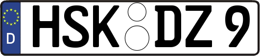 HSK-DZ9