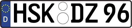 HSK-DZ96