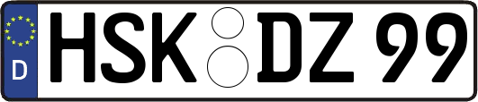 HSK-DZ99