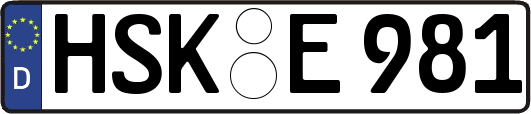 HSK-E981