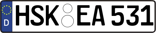 HSK-EA531
