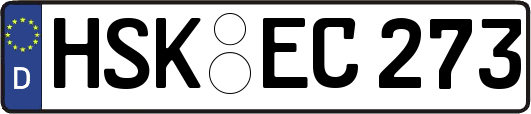 HSK-EC273