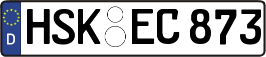 HSK-EC873