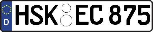 HSK-EC875
