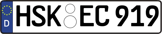 HSK-EC919