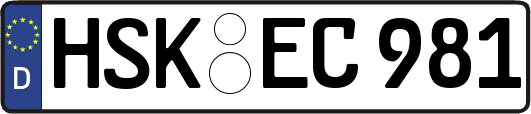 HSK-EC981