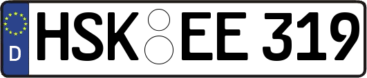 HSK-EE319
