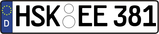 HSK-EE381