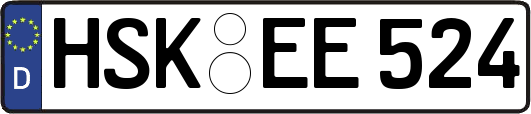 HSK-EE524