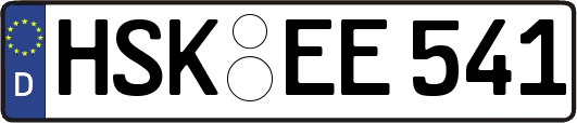 HSK-EE541