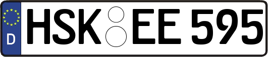 HSK-EE595