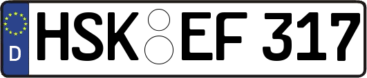 HSK-EF317