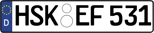 HSK-EF531