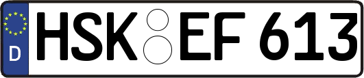 HSK-EF613