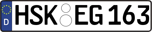 HSK-EG163