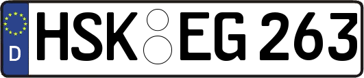 HSK-EG263