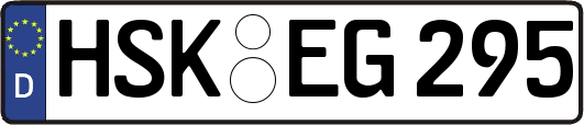 HSK-EG295