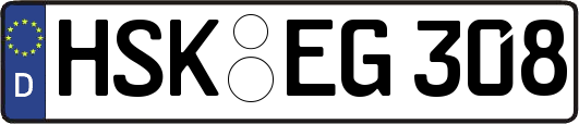 HSK-EG308