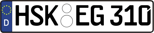 HSK-EG310