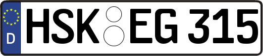 HSK-EG315