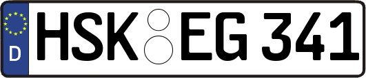 HSK-EG341