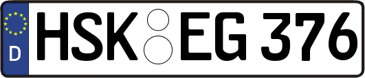 HSK-EG376