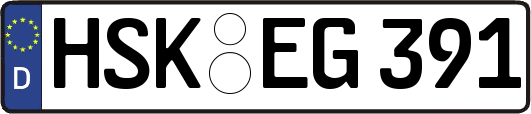 HSK-EG391