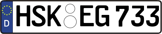 HSK-EG733