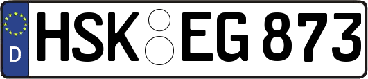 HSK-EG873