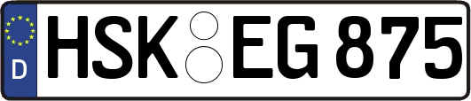 HSK-EG875