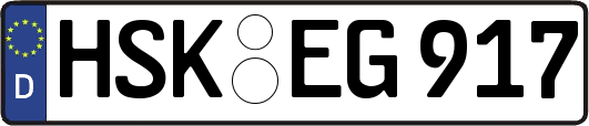 HSK-EG917