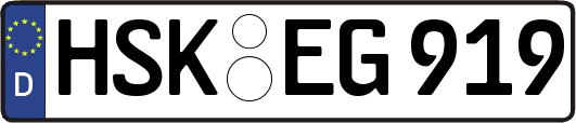 HSK-EG919