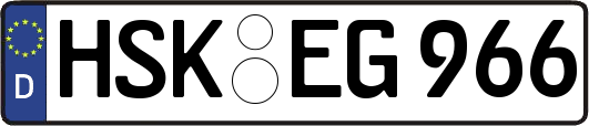 HSK-EG966