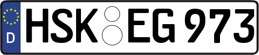 HSK-EG973