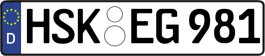 HSK-EG981