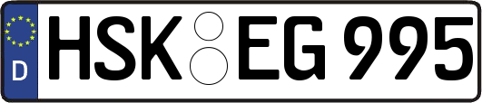 HSK-EG995