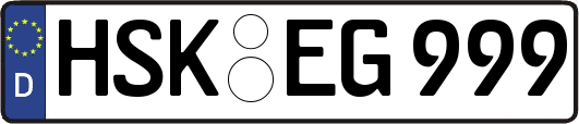 HSK-EG999